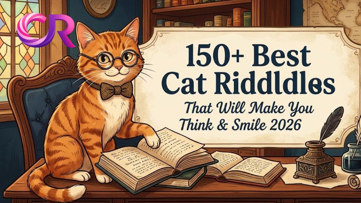 Cat Riddles